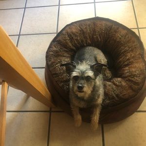 Meet your Posher, Tonia